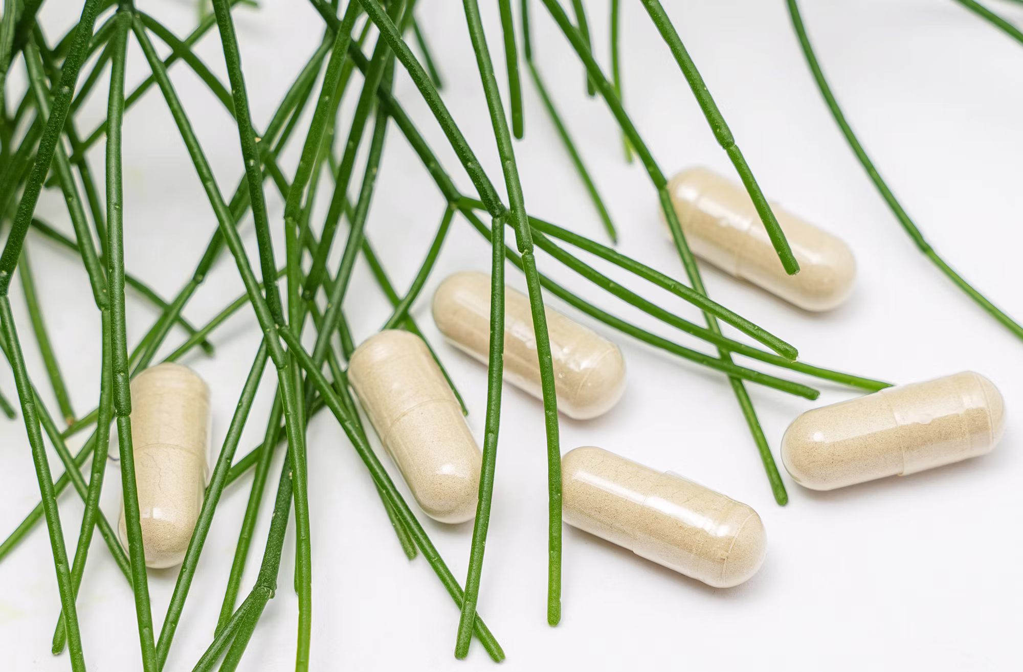 Die Bedeutung der psychischen Gesundheit in der modernen Medizin: Emotionales Wohlbefinden verstehen und unterstützen